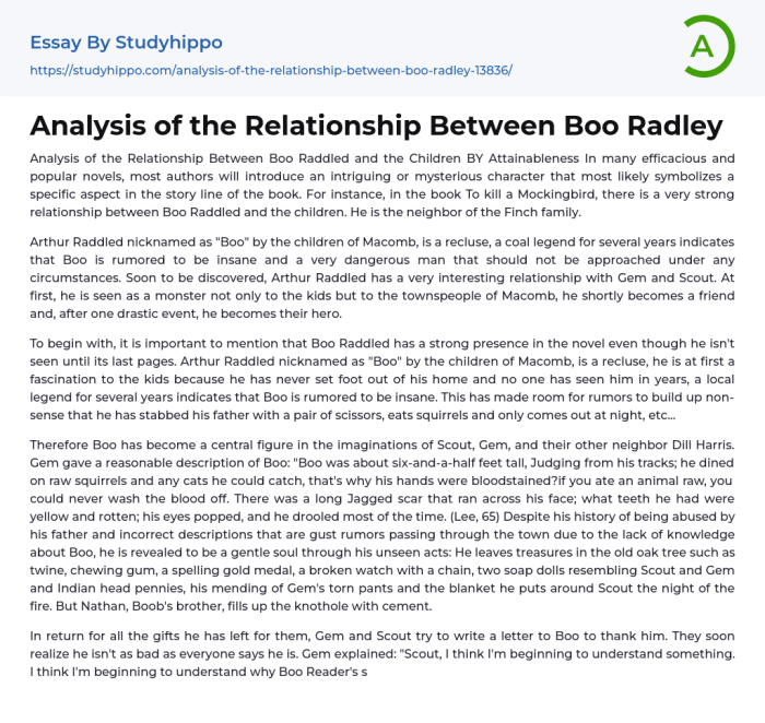 Quotes about boo radley being misunderstood