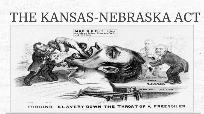 Kansas nebraska act political cartoon