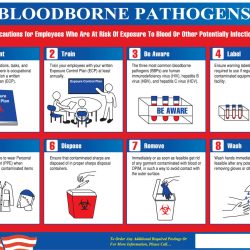 Bloodborne pathogens quiz true false