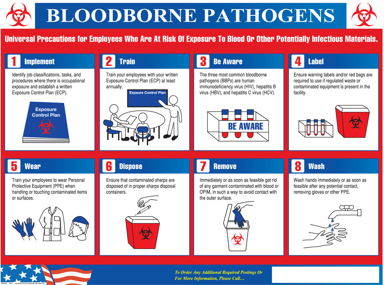 Bloodborne pathogens quiz true false