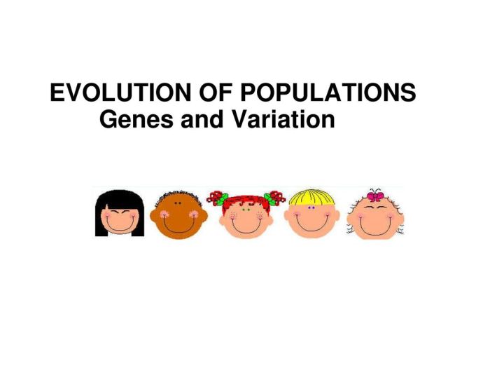 Section 16-1 genes and variation