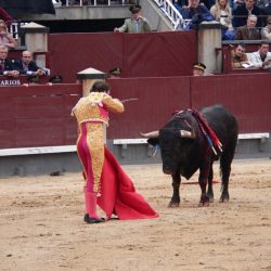 Matador bullfighting toros bullfight spain el file plaza stories bullfighters las history redemption bull madrid bulls wikipedia corrida la ventas