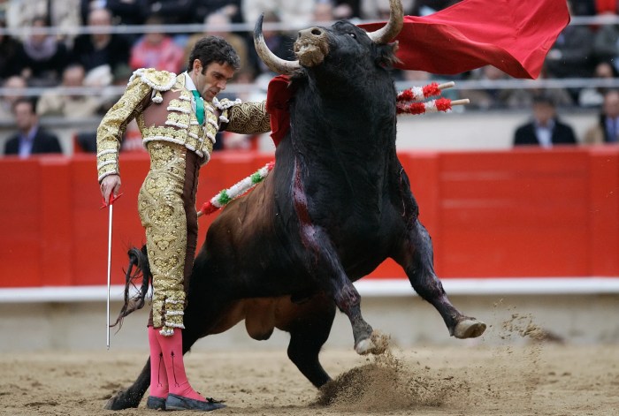 Spanish name for a bullfighter crossword