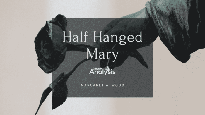 Analysis of half hanged mary