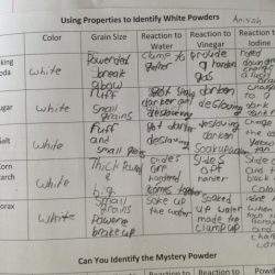 Mystery powder lab answer key