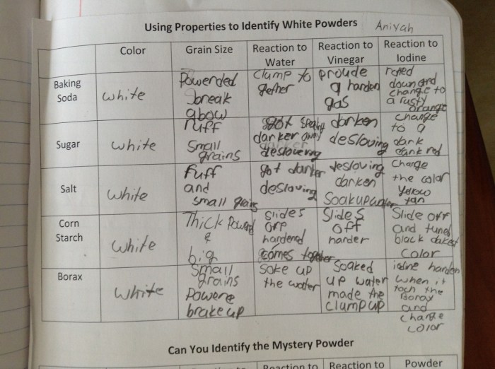 Mystery powder lab answer key