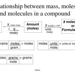 Moles grams and molecules worksheet