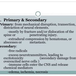 Spinal cord injury hesi case study