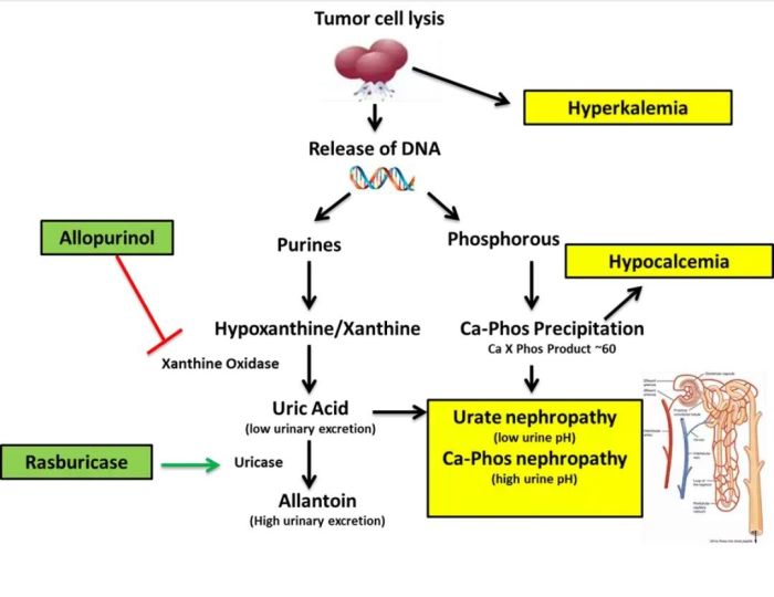 Calcium phosphate precipitation tpn calculator