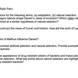 Student exploration evolution mutation and selection answer key